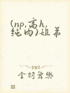 (np,高h,纯肉)姐弟