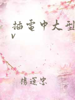 插电中大型suv