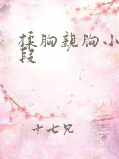 揉胸亲胸小说片段