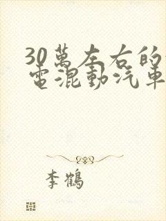 30万左右的油电混动汽车