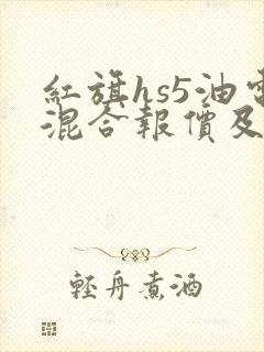 红旗hs5油电混合报价及图片