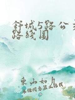 舒城5路公交车路线图