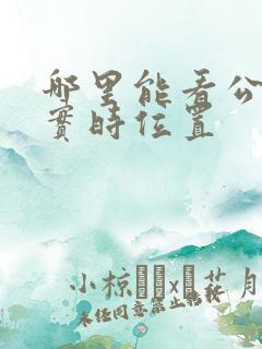哪里能看公交车实时位置