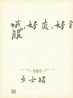 哦,好爽,好舒服