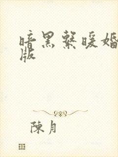 暗黑系暖婚完结版