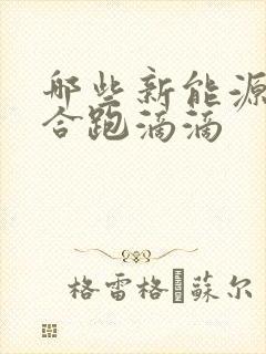 哪些新能源车适合跑滴滴