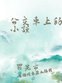 公交车上的爱情小说