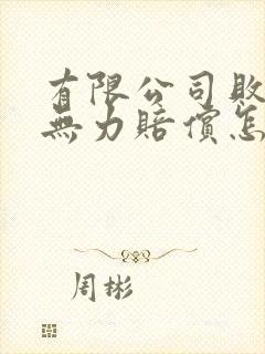 有限公司败诉后无力赔偿怎么办