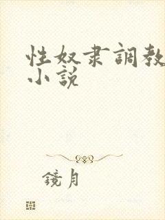 性奴隶调教虐待小说