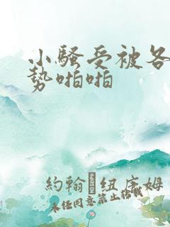 小骚受被各种姿势啪啪