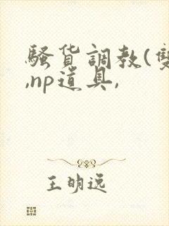骚货调教(双性,np道具,