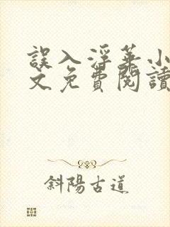 误入浮华小说全文免费阅读