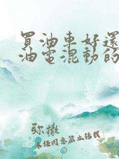 买油车好还是买油电混动的好