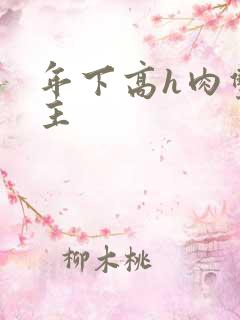 年下高h肉双男主