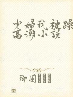 少妇我被躁爽到高潮小说