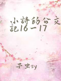 小诗的公交车日记16一17