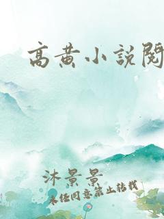 高黄小说阅读