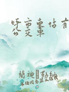 呼市东站有几路公交车