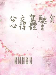公交驾驶员事故心得体会 公交驾驶员事故心得体会