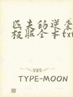 匹夫的逆袭 精校版全本txt