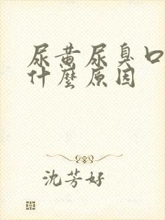 尿黄尿臭口苦是什么原因