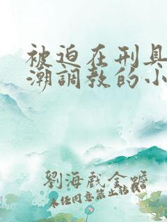 被迫在刑具上高潮调教的小说 被迫在刑具上高潮调教的小说