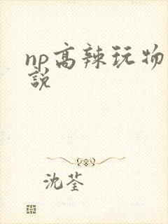 np高辣玩物小说