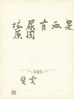 垃尿有血是什么原因