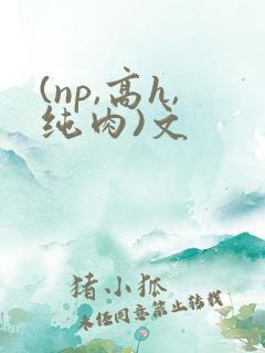 (np,高h,纯肉)文 (np,高h,纯肉)文