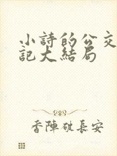 小诗的公交车日记大结局