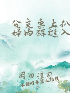 公交车上扒开少妇内裤进入