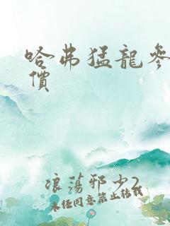 哈弗猛龙参数报价