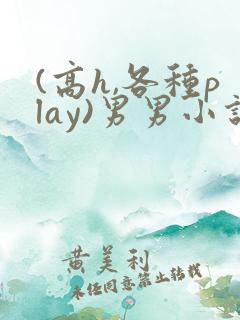 (高h,各种play)男男小说