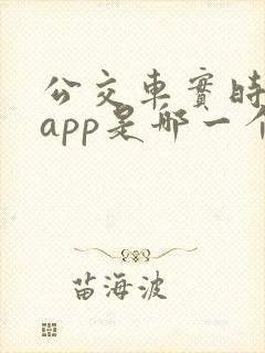 公交车实时动态app是哪一个