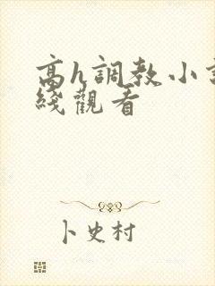高h调教小说在线观看
