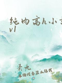 纯肉高h小说1v1