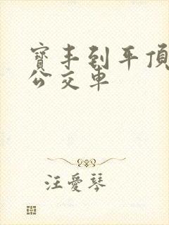 宝丰到平顶山的公交车