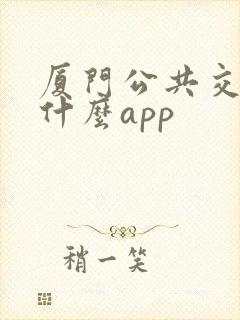 厦门公共交通用什么app 厦门公共交通用什么app