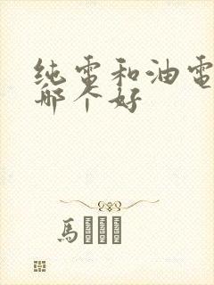 纯电和油电混合哪个好