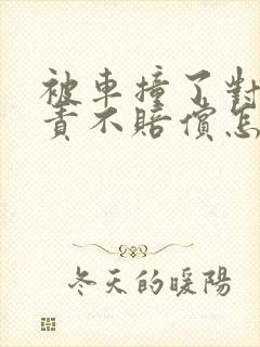 被车撞了对方全责不赔偿怎么起诉