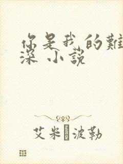 你是我的难得情深 小说