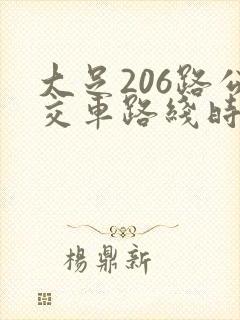 大足206路公交车路线时间表