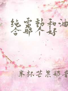 纯电动和油电混合哪个好