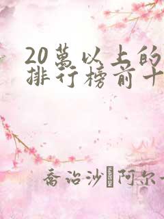 20万以上的车排行榜前十名