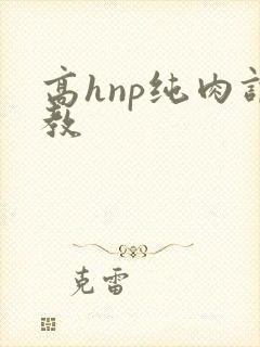 高hnp纯肉调教