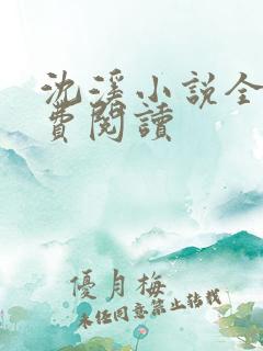 沈溪小说全文免费阅读