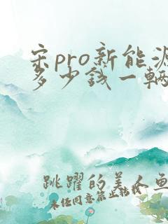 宋pro新能源多少钱一辆