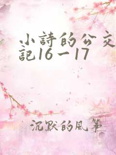 小诗的公交车日记16一17
