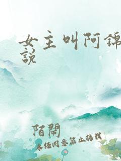 女主叫阿锦的小说