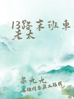 13路末班车邱老太